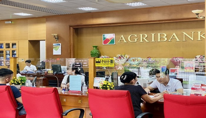 Hồ sơ vay thấu chi Agribank