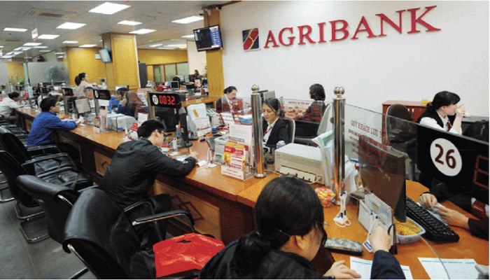 Quy trình các bước vay tín chấp Agribank chi tiết