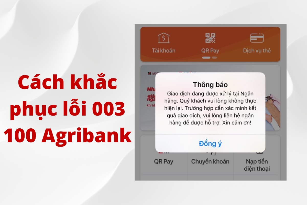 Cách xử lý khi gặp gặp lỗi 003 100