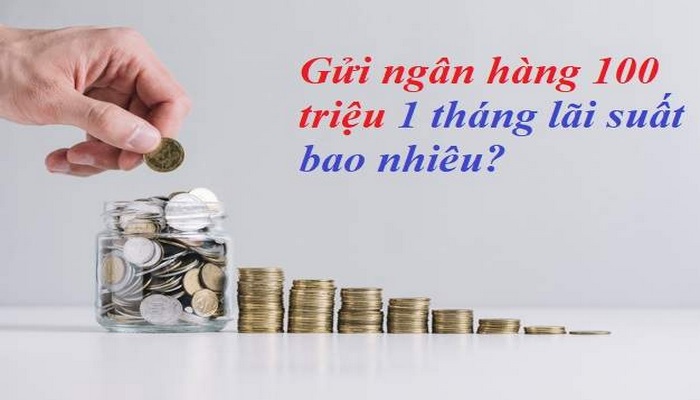 100 trieu gui ngan hang techcombank lai suat bao nhieu 1